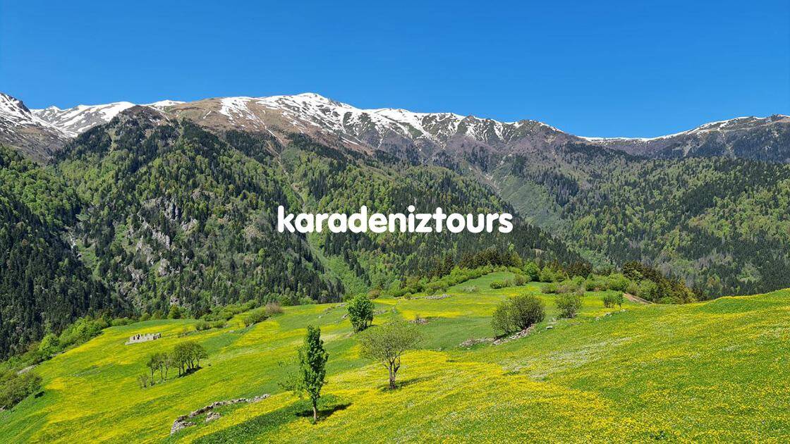 Dağ eteklerinde yeşil doğa ve buz tutmuş karla kaplı dağlar, Karadeniz Tours ile Rize çıkışlı turlar.