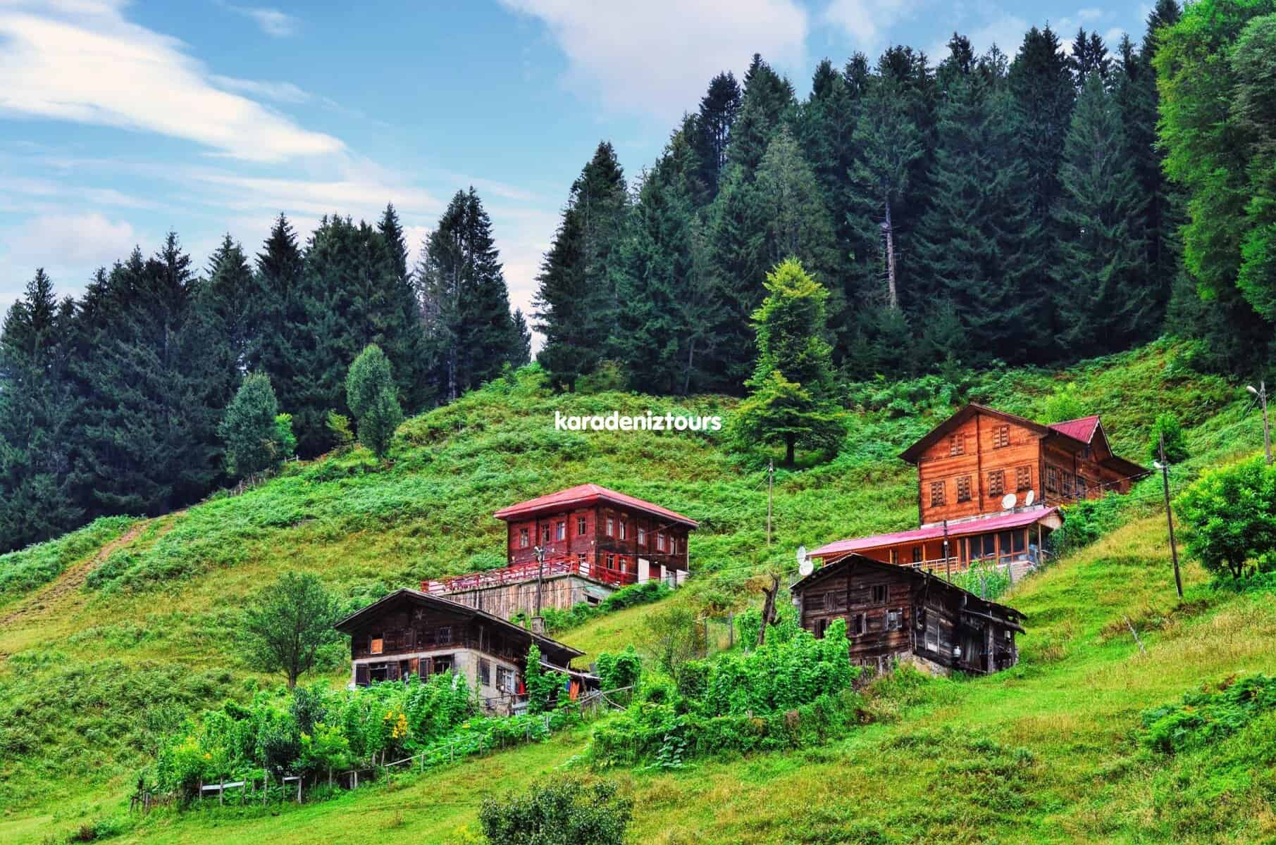 Rize çıkışlı turlar ile doğa ve geleneksel ahşap evler, Karadeniz'in güzelliklerini keşfetmek için ideal.