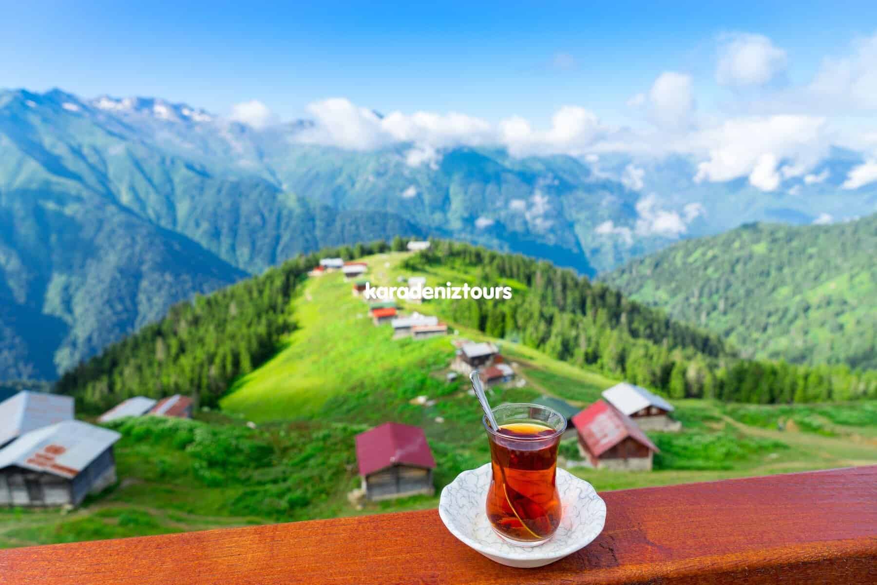 Karadeniz turları Rize çıkışlı doğal güzellikler ve çay bahçeleri manzarası.