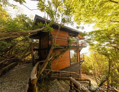 Rize Bungalov: Orman Manzaralı Suit - Indra