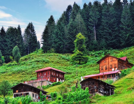 Ayder ve Elevit Yayla Double Turu - Rize Çıkışlı