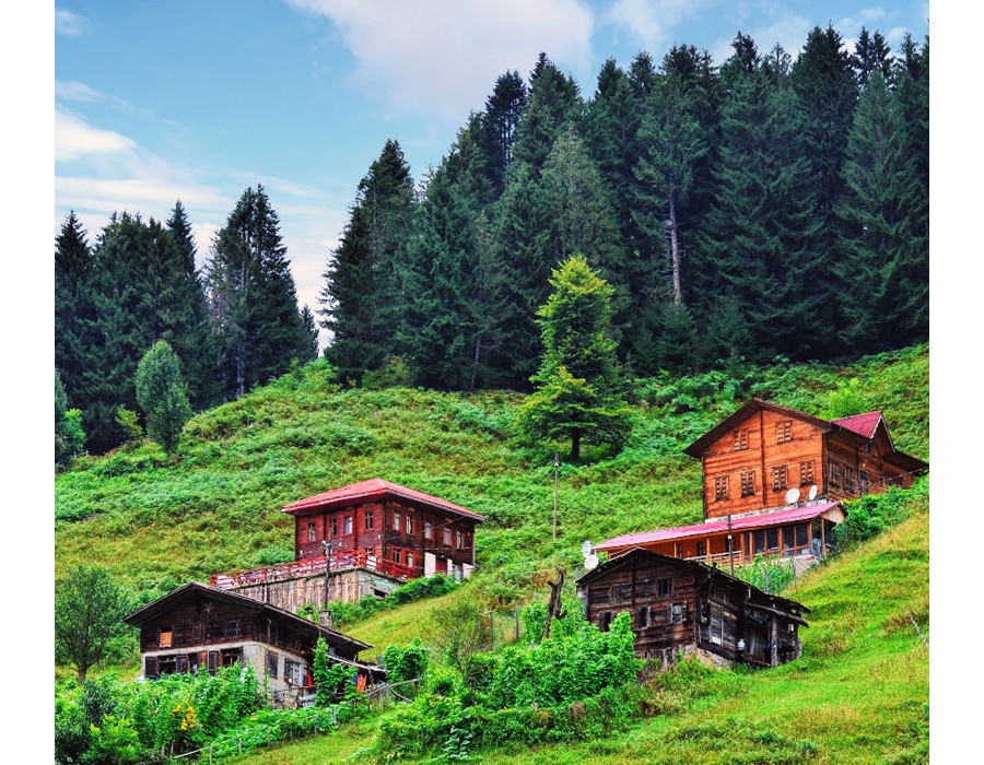Ayder ve Elevit Yayla Double Turu - Rize Çıkışlı