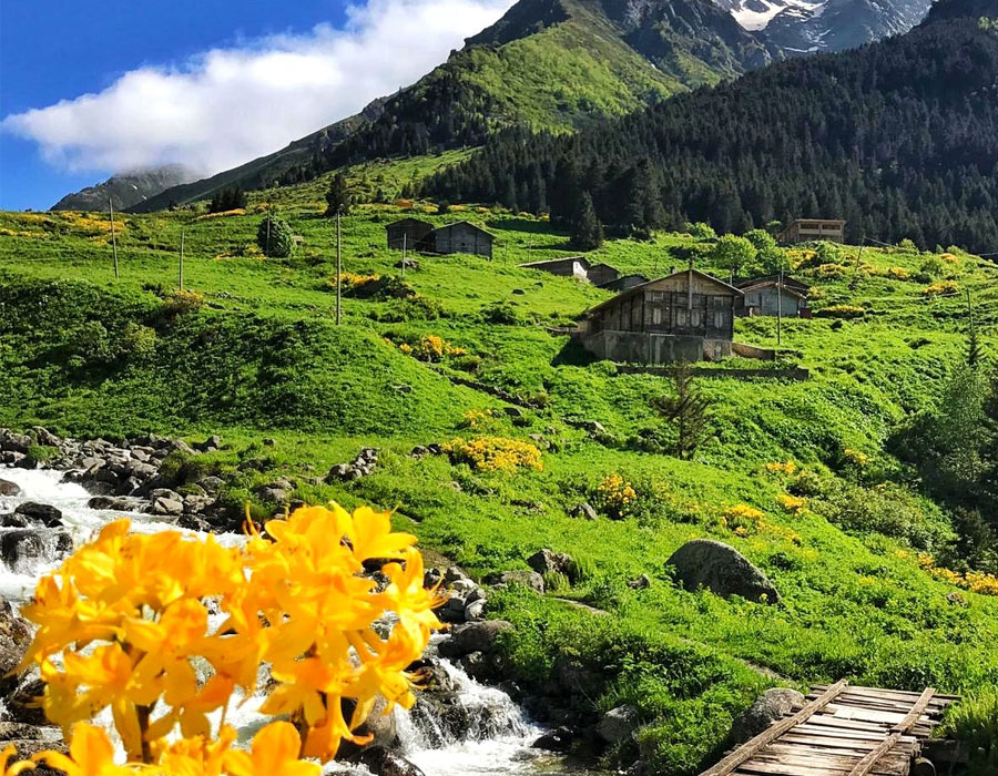 Gito ve Elevit Double Yayla Turu - Rize Çıkışlı
