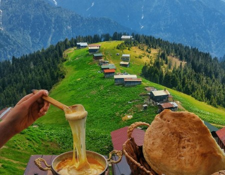 Günübirlik Pokut ve Sal Yayla Turu - Rize Çıkışlı