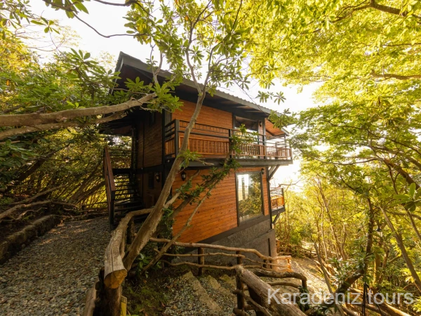 Rize Bungalov: Orman Manzaralı Suit - Indra