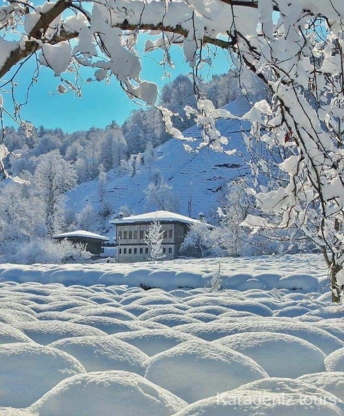 Doğu Karadeniz Yılbaşı Turu- Rize Çıkışlı 3 Gece 4 Gün