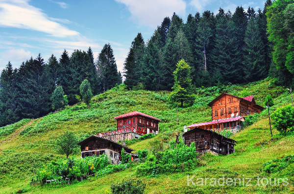 Günübirlik Ayder ve Elevit Yayla Double Turu